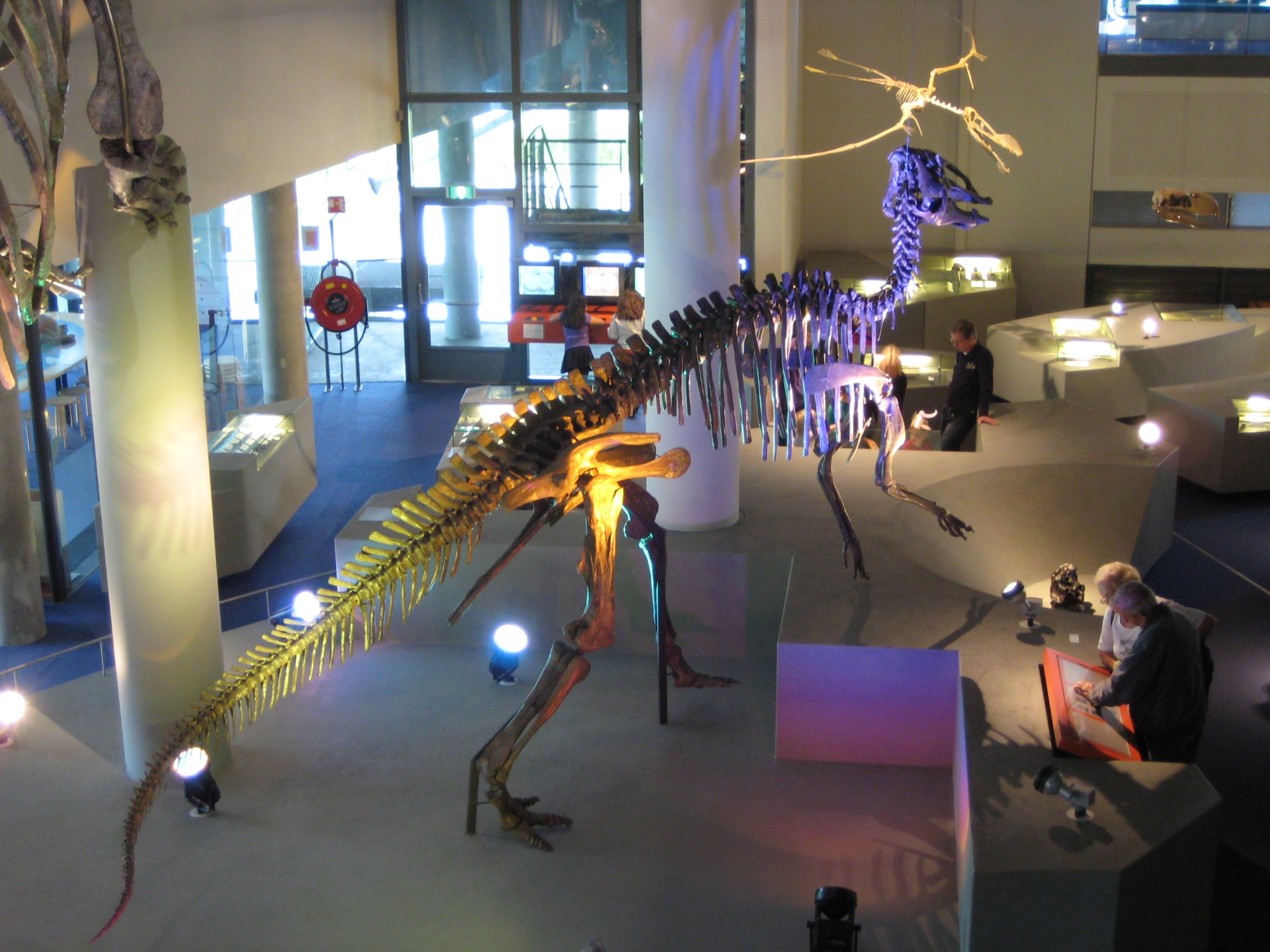Naturalis Leiden