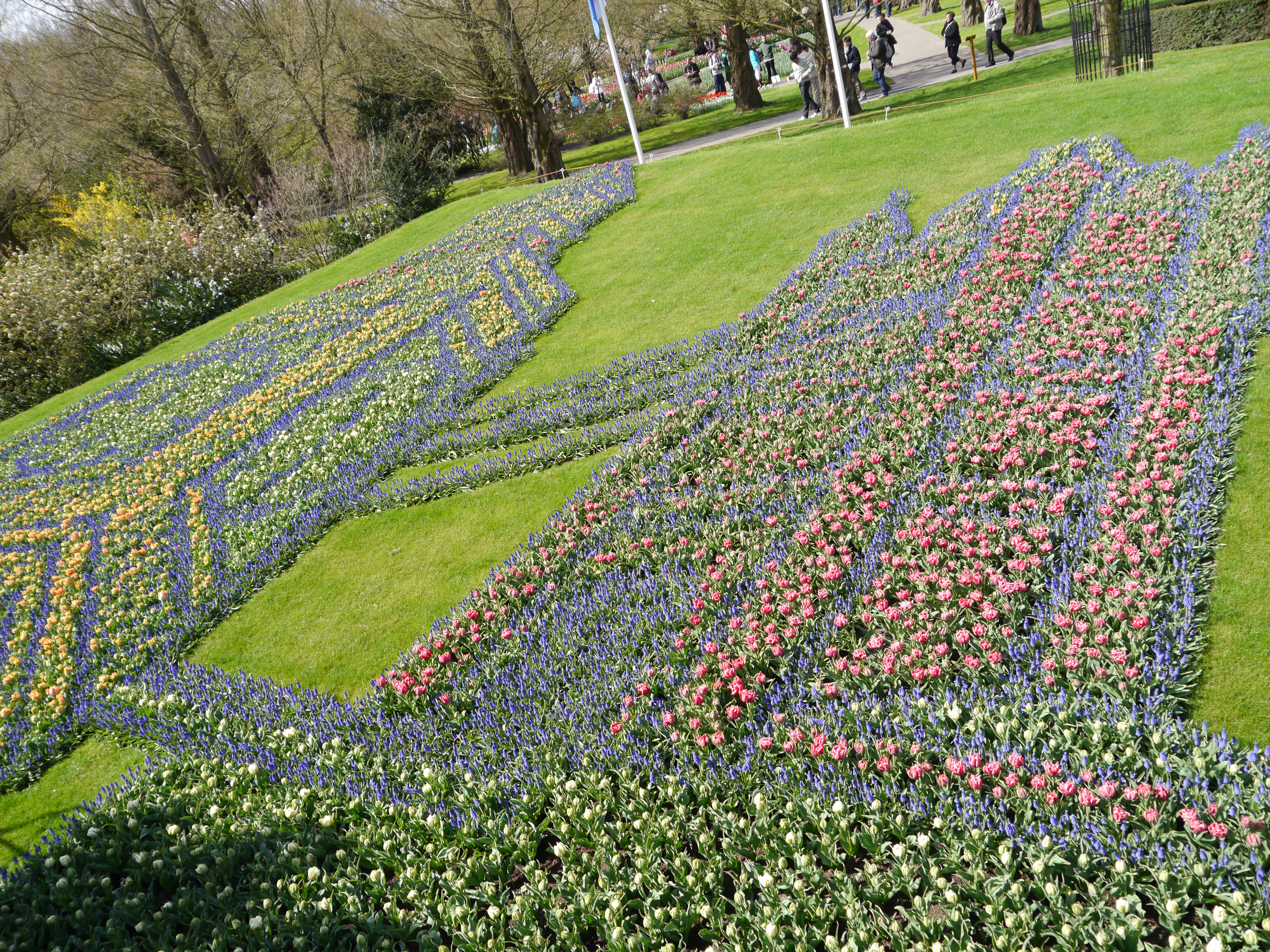 ©Ute Limacher-Riebold; Big Ben Keukenhof 2013
